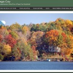 Tega Cay Website Design for Small Businesses By AVT Marketing