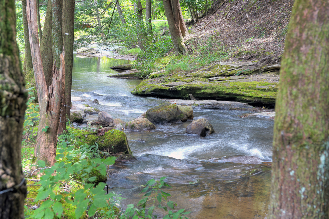 Charlotte, NC Professional Resort Photography and Video