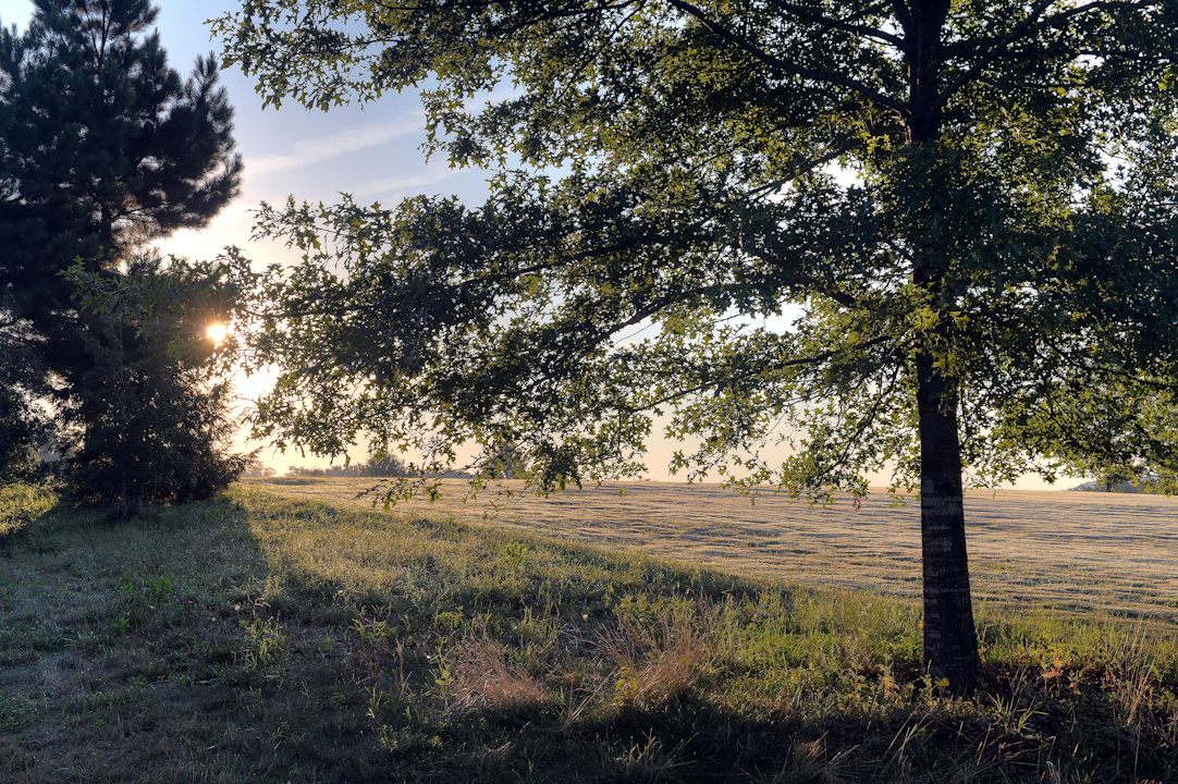 Professional Resort Photography and Video - Sun rising over golf course